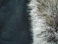Black Toscana Brisa Shearling Sheepskin