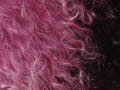  Mongolian Lamb Sheepskin
